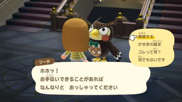 あつまれどうぶつの森 2人目プレーヤー 博物館に寄贈する