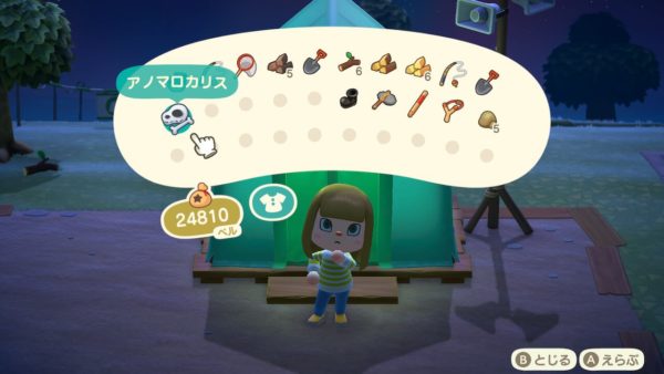 あつまれどうぶつの森 持ち物を増やす